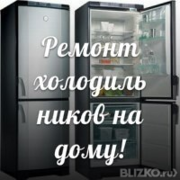 Ремонт холодильников и заправка фреоном на дому (066)493-71-81 